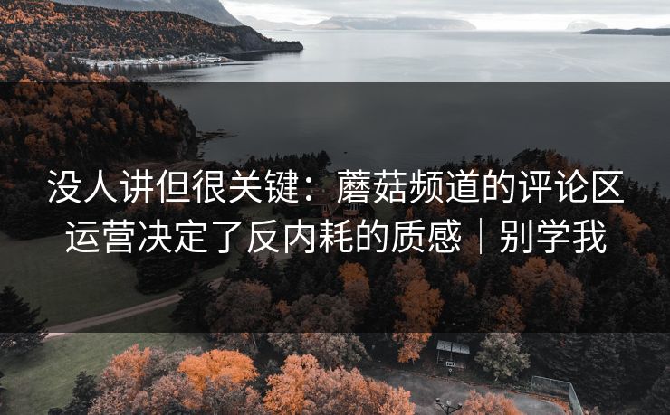 没人讲但很关键：蘑菇频道的评论区运营决定了反内耗的质感｜别学我